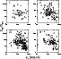 \begin{figure}
\par\resizebox{\hsize}{!}{\includegraphics{focardifig11.ps}}\end{figure}