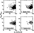 \begin{figure}
\par\resizebox{\hsize}{!}{\includegraphics{focardifig12.ps}}
\end{figure}