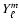 $Y_{\ell}^m$