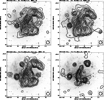 \begin{figure}
\par\includegraphics[width=8.8cm,clip]{2373fig34.eps}\hspace*{2.4...
...s}\hspace*{2.4mm}
\includegraphics[width=8.8cm,clip]{2373fig37.eps}
\end{figure}