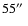 $55\hbox{$^{\prime\prime}$ }$