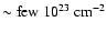 $\sim{\rm few}~10^{23}~{\rm cm}^{-2}$