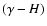 $(\gamma - H)$