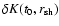 $\delta K(t_{0},{r}_{\rm sh})$