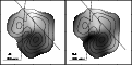 \begin{figure}
\includegraphics[width=14cm,clip]{h3683f5.ps}\end{figure}