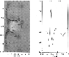 \begin{figure}
\par\includegraphics[width=8.8cm,clip]{aa2560f3.eps}
\medskip\end{figure}
