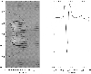 \begin{figure}
\par\includegraphics[width=8.8cm,clip]{aa2560f4.eps}\medskip
\end{figure}