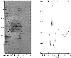 \begin{figure}
\par\includegraphics[width=8.8cm,clip]{aa2560f5.eps}\end{figure}