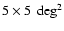 $5\times5~\deg^2$