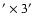 $^\prime \times 3^\prime $