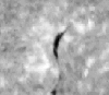 \begin{figure}
\par\includegraphics[width=8.8cm,clip]{regnier2700_2.eps}\end{figure}