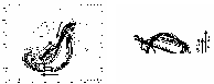 \begin{figure}
\par\includegraphics[width=8cm]{regnier2700_9a.eps}\hspace*{1cm}
\includegraphics[width=7.75cm]{regnier2700_9b.eps}\end{figure}