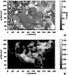 \begin{figure}
\par\mbox{\includegraphics[width=8.5cm,clip]{ms2493f5a.eps}\hspac...
...ics[width=8.5cm,clip]{ms2493f5b.eps}\hspace{-0.5cm}\mbox{{\bf b)}}}
\end{figure}