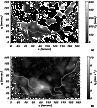 \begin{figure}
\par\mbox{\includegraphics[width=8.5cm,clip]{ms2493f6a.eps}\hspac...
...ics[width=8.5cm,clip]{ms2493f6b.eps}\hspace{-0.5cm}\mbox{{\bf b)}}}
\end{figure}