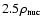 $ 2.5 \rho_{\rm nuc} $
