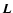 $\vec{L}$