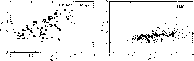 \begin{figure}
\par\includegraphics[width=17cm,clip]{fig11.eps}\end{figure}
