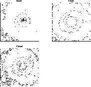 \begin{figure}
\par\includegraphics[width=16cm,clip]{H3749F2.PS} \end{figure}