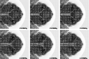 \begin{figure}
\leavevmode
$\begin{array}{ccc}
\includegraphics[width=5cm,clip]...
...s[width=5cm,clip]{MS1285f28_s_fine-4m5_flow0992.eps}\\
\end{array}$\end{figure}