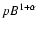 $p B^{1+\alpha}$