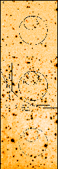 \begin{figure}
\par\includegraphics[width=7.43cm,clip]{H3693F1.ps}\end{figure}