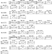 \begin{figure}
\par\includegraphics[width=16.2cm,clip]{H3806F19.eps} \end{figure}