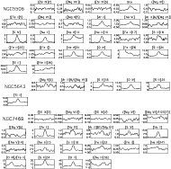 \begin{figure}
\par\includegraphics[width=16.6cm,clip]{H3806F21.eps} \end{figure}