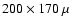 $200 \times 170~\mu$