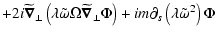 $\displaystyle + 2i\widetilde{\vec\nabla}_\perp\left(\lambda \tilde\omega
\Omega...
...vec\nabla}_\perp\Phi\right)
+im\partial_s\left(\lambda\tilde\omega^2\right)\Phi$