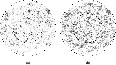 \begin{figure}
\subfigure[]{\includegraphics[angle=0, width=0.4\textwidth]{MS2...
...e[]{\includegraphics[angle=0, width=0.4\textwidth]{MS2775f1b.eps} }
\end{figure}