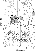 \begin{figure}
\par\includegraphics[angle=0, width=0.5\textwidth]{MS2775f7.eps}\end{figure}