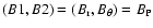 $(B1, B2)=(B_{\rm r}, B_\theta )=B_{\rm P}$