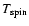 $T_{\rm spin}$