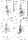 \begin{figure}
\par\includegraphics[width=8.8cm,clip=]{aah3531f9.eps}\end{figure}