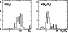 \begin{figure}
\par\resizebox{\hsize}{!}{\includegraphics{fig3.ps}} \end{figure}