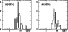 \begin{figure}
\par\resizebox{\hsize}{!}{\includegraphics{fig19.ps}} \end{figure}