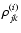 $\rho_{jk}^{(i)}$