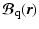 $\displaystyle \vec{\mathcal{B}}_{\mathrm q}(\vec{r})$