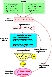 \begin{figure}
\par\includegraphics*[width=12cm,clip]{ms2811f1.eps}\end{figure}