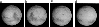 \begin{figure}
\par\includegraphics[width=8.8cm,clip]{aa2918f15.eps} %
\end{figure}