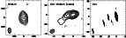 \begin{figure}
\par\includegraphics[width=16.5cm]{MS2978f4.eps}\end{figure}