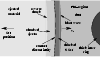\begin{figure}
\par\includegraphics[width=8.8cm,clip]{ms2642f1.eps}
\end{figure}