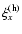 $\xi_x^{\rm (h)}$