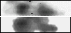 \begin{figure}
\par\includegraphics[width=8.8cm,clip]{MS10270f2a.eps}\par\includegraphics[width=8.8cm,clip]{MS10270f2b.eps}
\end{figure}
