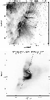 \begin{figure}
\par\includegraphics[width=8.8cm,clip]{Fig_5aBW.eps}\\ [5mm]
\includegraphics[width=8.8cm,clip]{Fig_5bBW.eps}\end{figure}