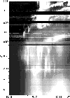 \begin{figure}
\par\includegraphics[width=8.8cm,clip]{010412comp1.eps}\end{figure}