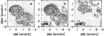 \begin{figure}
\par\includegraphics[width=17.2cm,clip]{H3949F2.ps}
\end{figure}