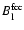 $B_{\rm l}^{\rm fcc}$