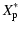 $\displaystyle X^{*}_{\rm p}$