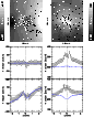\begin{figure}
\par\includegraphics[width=10cm,clip]{MS2522f1.eps} \end{figure}